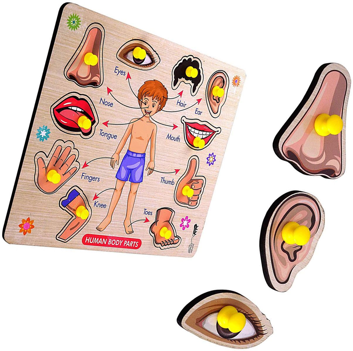 BEST QUALITY NEW WOODEN QUALITY BODY PART BOARD LEARNING TOY FOR ALL KIDS.
