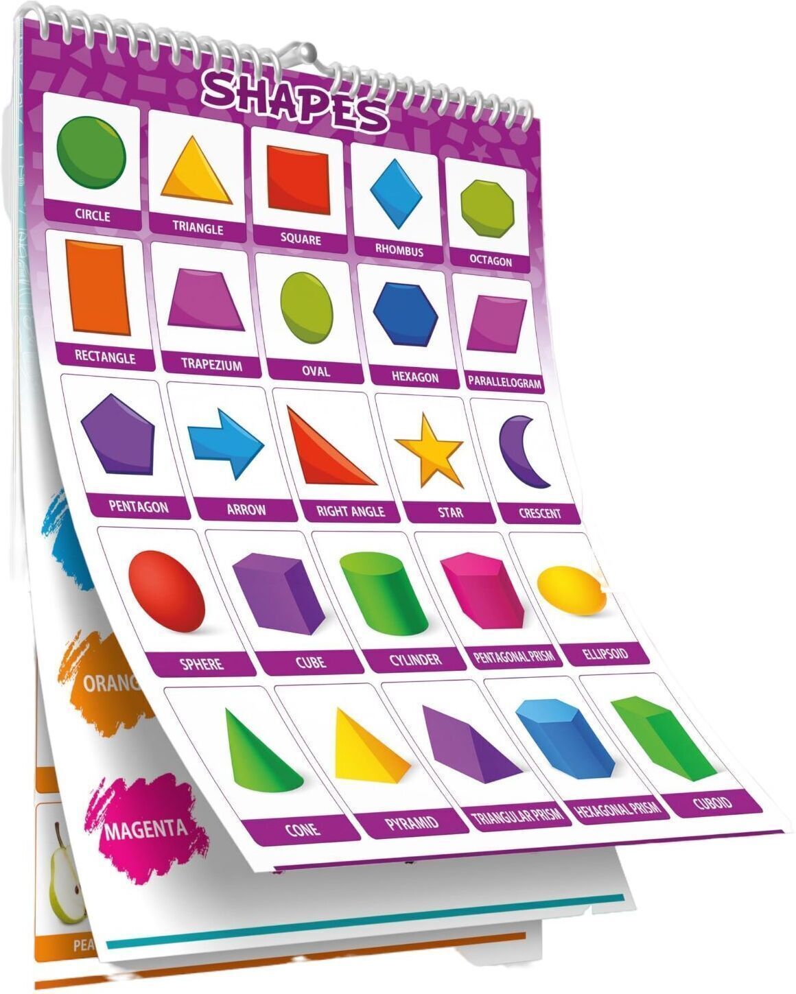 - Kids Educational Charts Mini Size - 17 Subjects - Laminated - Waterproof-image-6