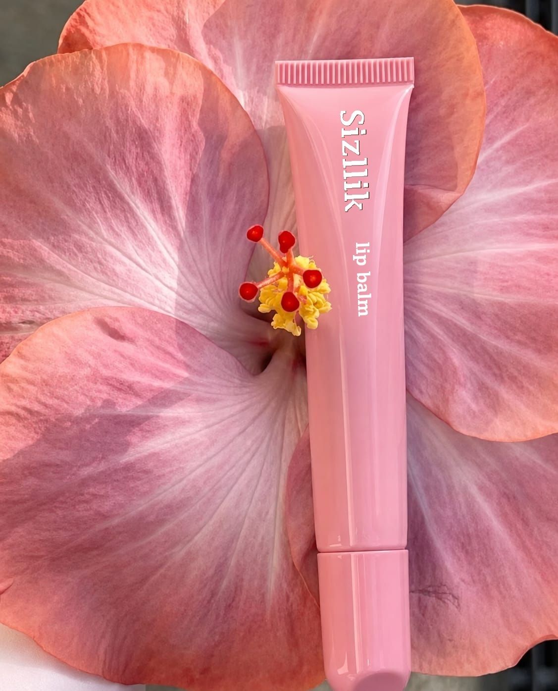 Silky Care Lip Balm for Dry Lips strawberry-image-49