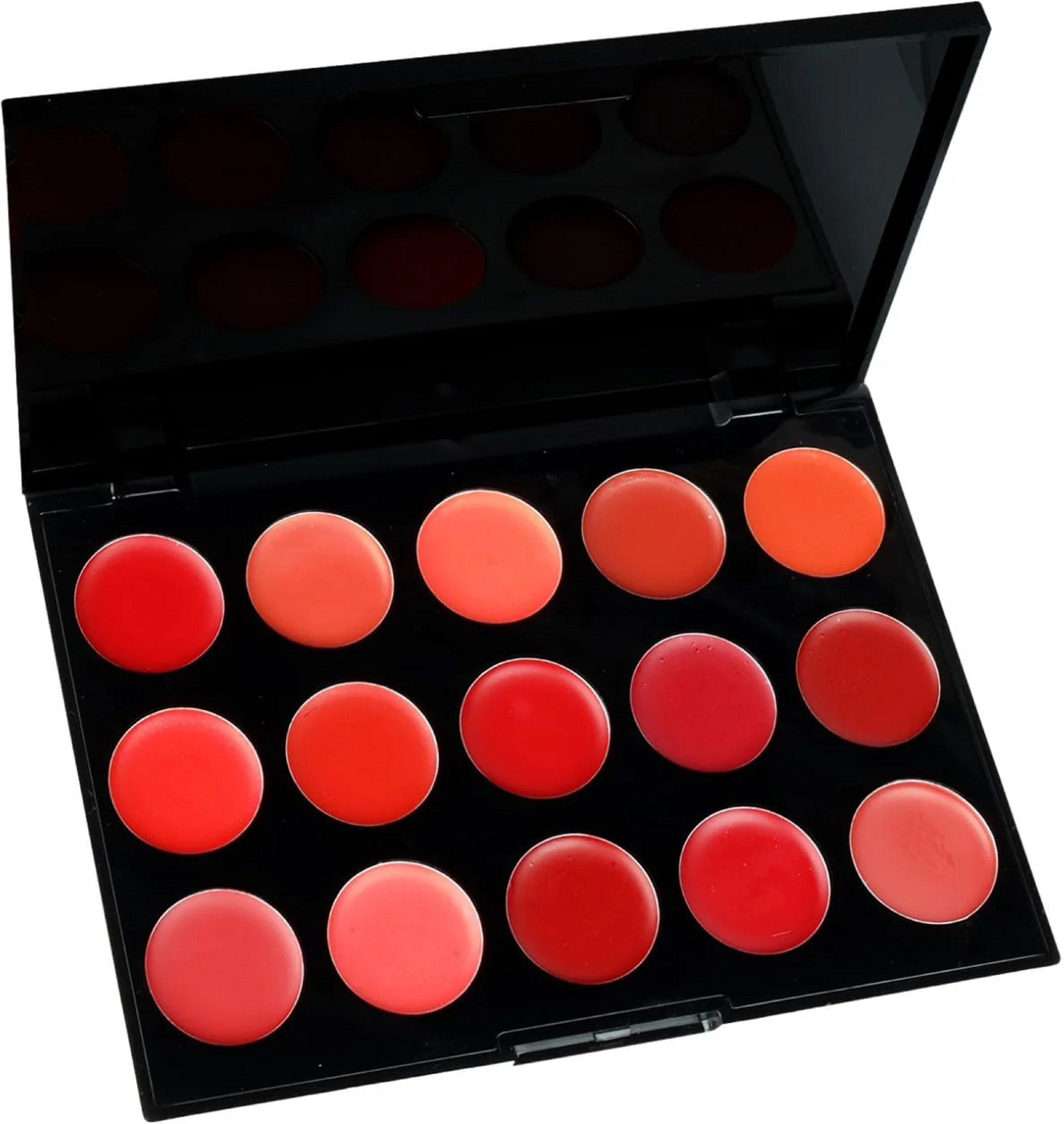 Multi Shade Lip Palette for Daily and Party Makeup-image-43