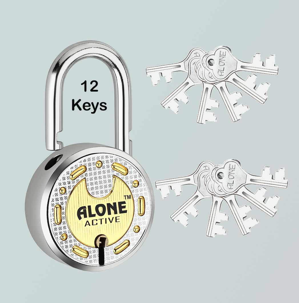 alone Round 65mm 12 Keys Padlock for home door gate shutter shop Brass Combination Padlock-picture-12