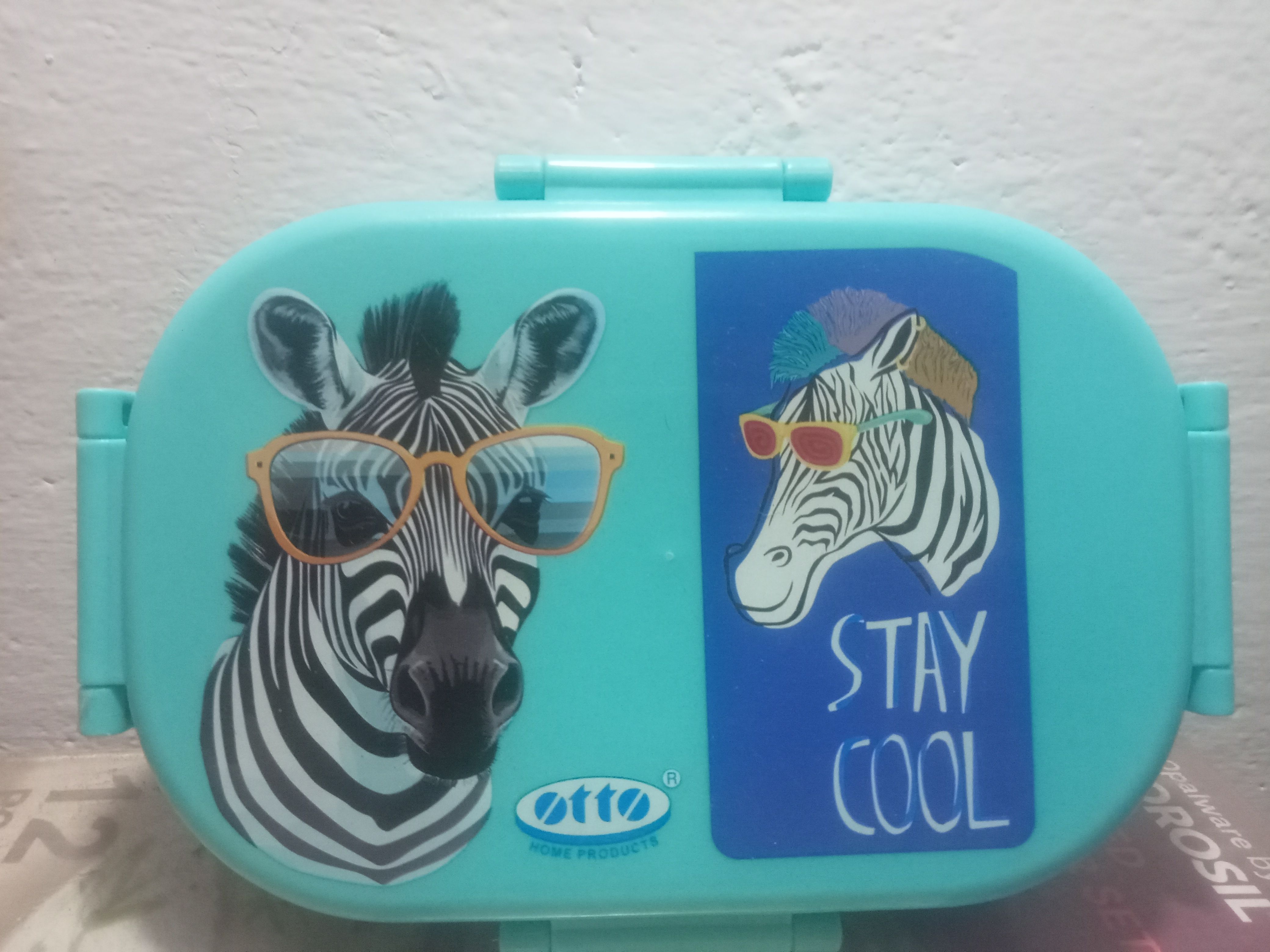 TWINKLE INSULATED LUNCH BOX 2 Containers Plastic, Stainless Steel School Lunch Box-image-17