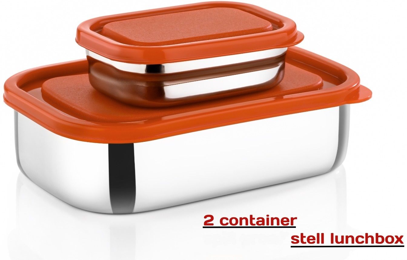Durable, Compact, True ton, Stylish, Slim, Universal Mil Steel Tiffin, for Kids 2 Containers Stainless Steel School Lunch Box-image-9