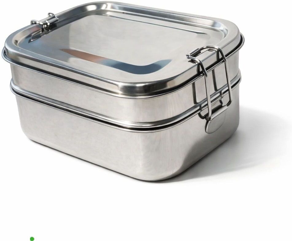 2 Tier Stainless Steel Lunch Tiffin Box for School 2 Containers Stainless Steel School Lunch Box-image-31