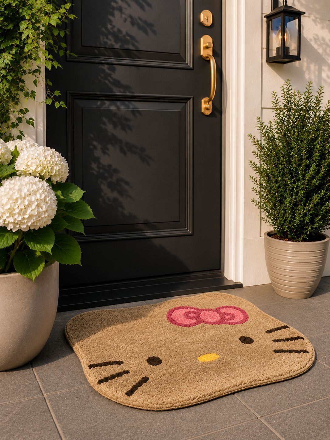 damac Microfiber Door & Floor Mat-picture-27