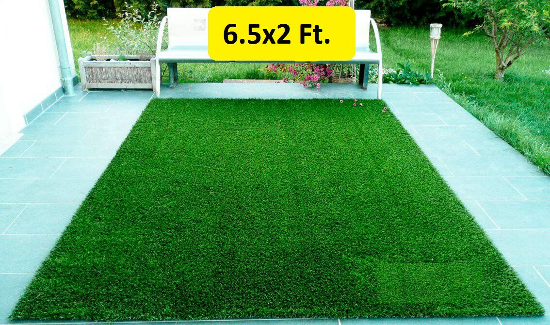 exotice PP (Polypropylene) Door Mat-picture-6