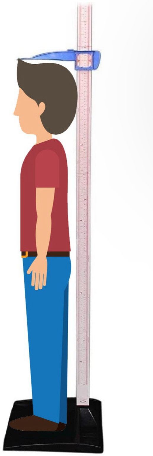 florix HEIGHT MEASURING SCALE( STADIOMETER)FOR ADULT & CHILDREN HEIGHT Height Gauge-picture-25