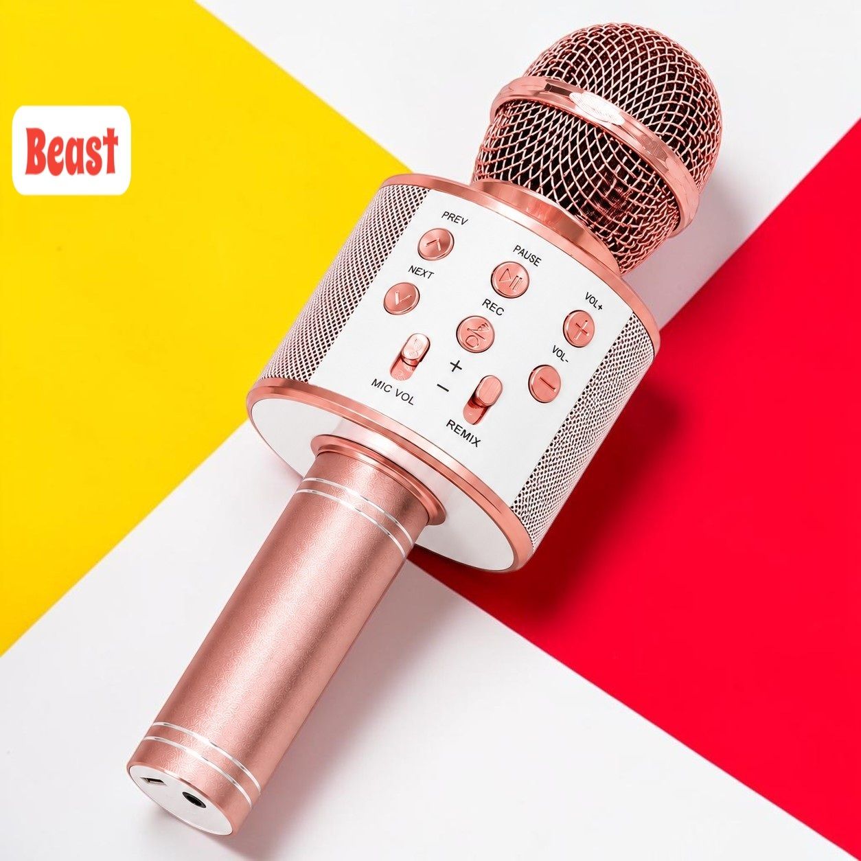 nilesawar X225 Portable Karaoke Mic Speaker with Long Battery Backup and Clear Audio Microphone-picture-39