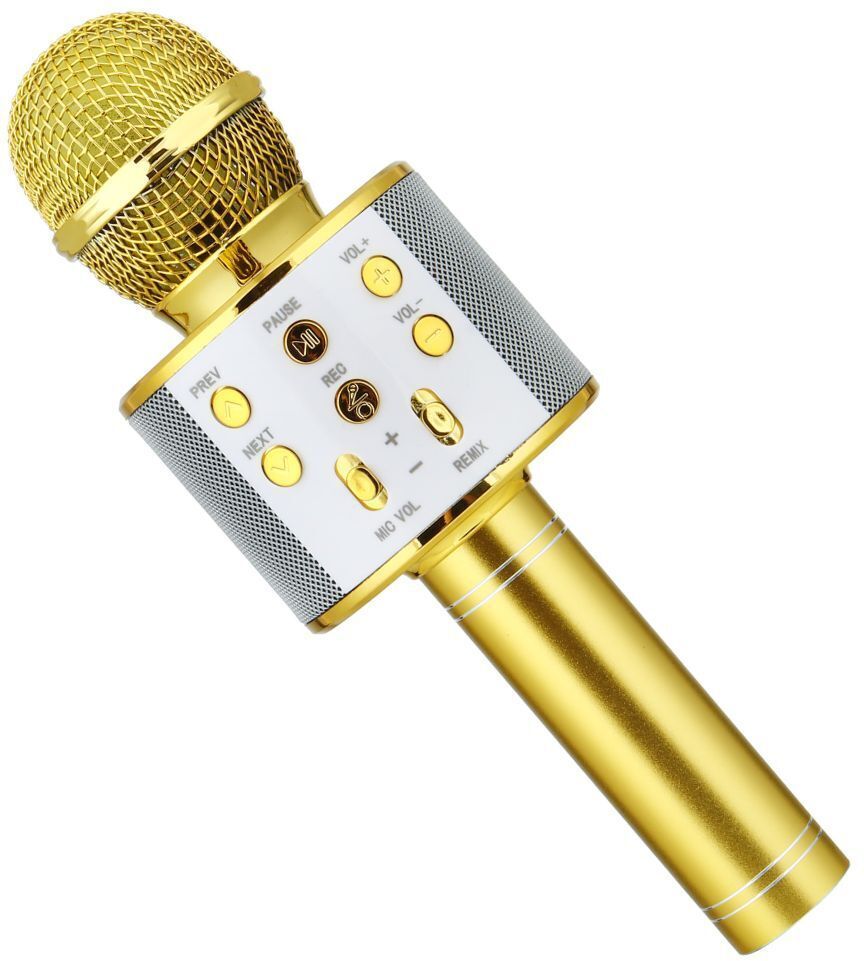 MIC12-KARAOKE MIC WITH SPEAKER-FM Radio Voice Changer Rechargeable Microphone-image-21