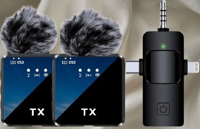 gentle e kart Best F11-2 Dual Condenser Microphone Wireless Mic Microphone-picture-25
