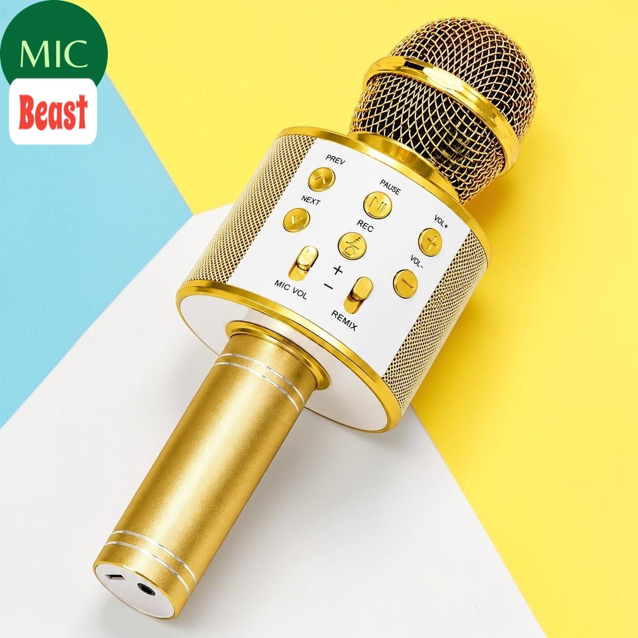 sagaft X462 Portable Karaoke Mic with Built in Speaker for Kids and Adults Microphone-picture-21