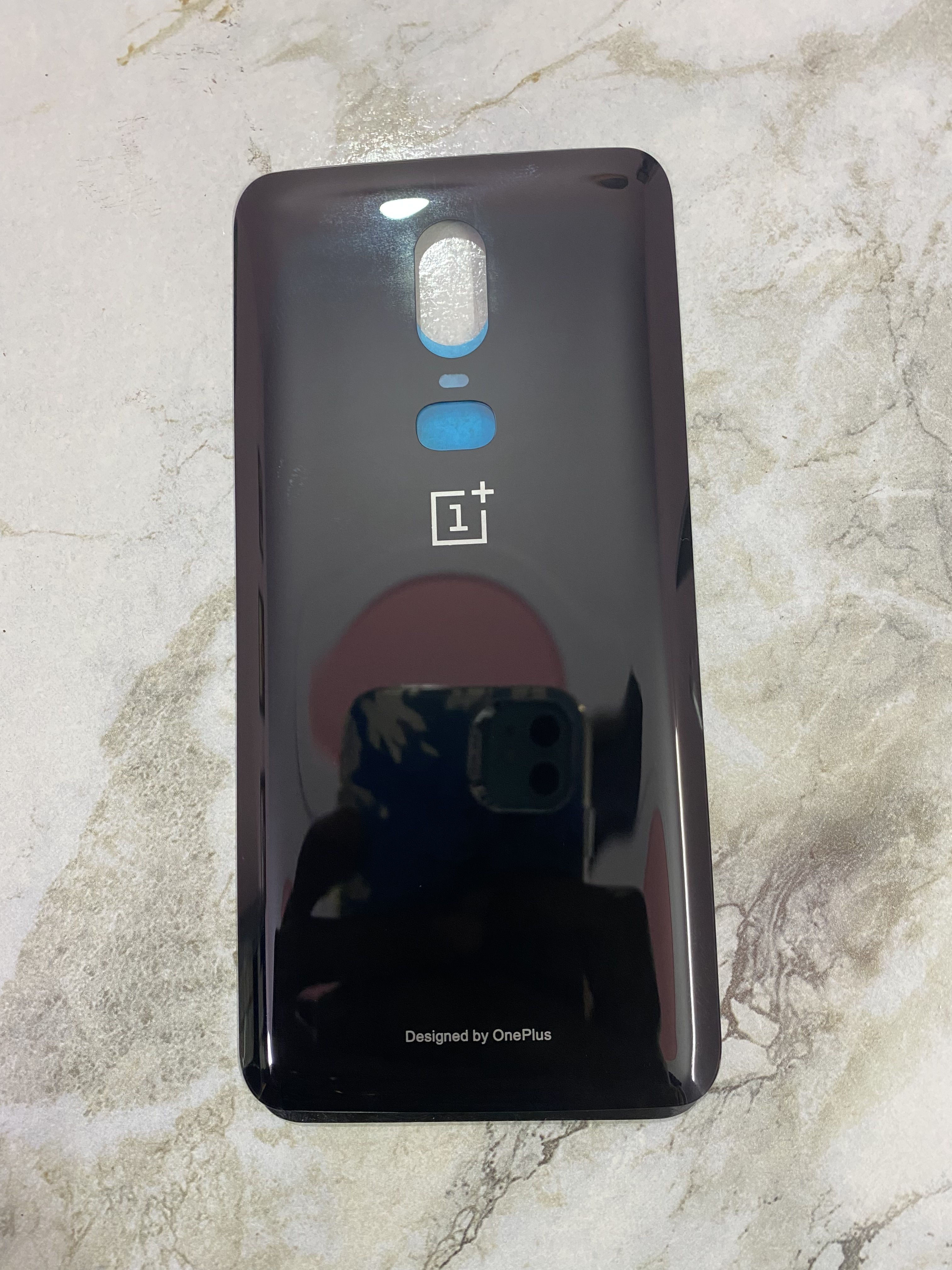 LEISURELIC ONEPLUS 6 (GLASS) Back Panel