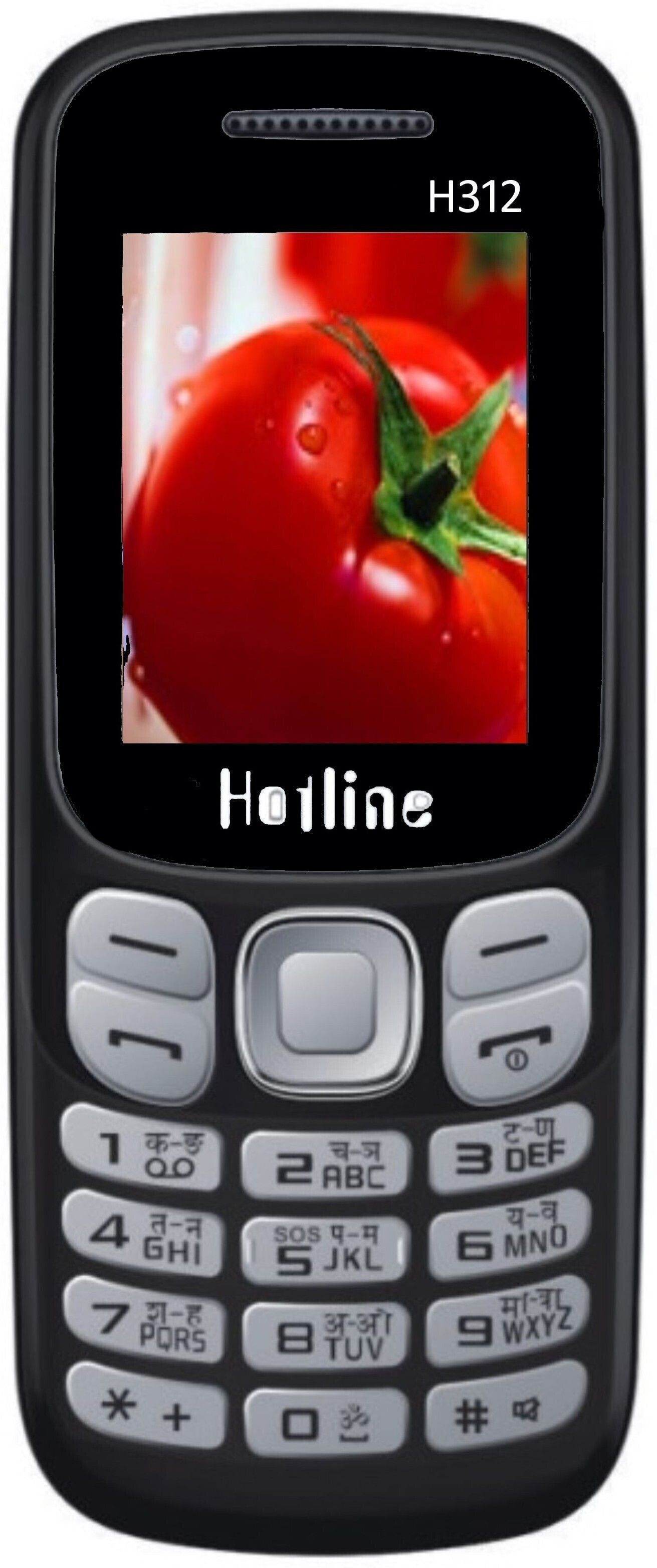 hotline H312-picture-36