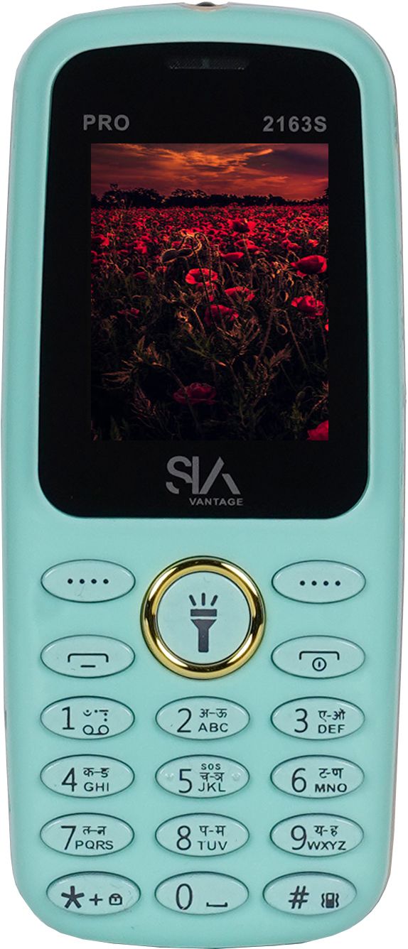siavantage PRO 2163s-picture-16
