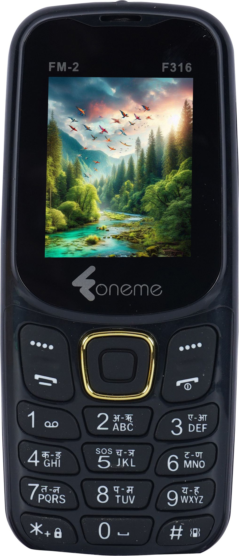 foneme FM-2 F316-picture-18
