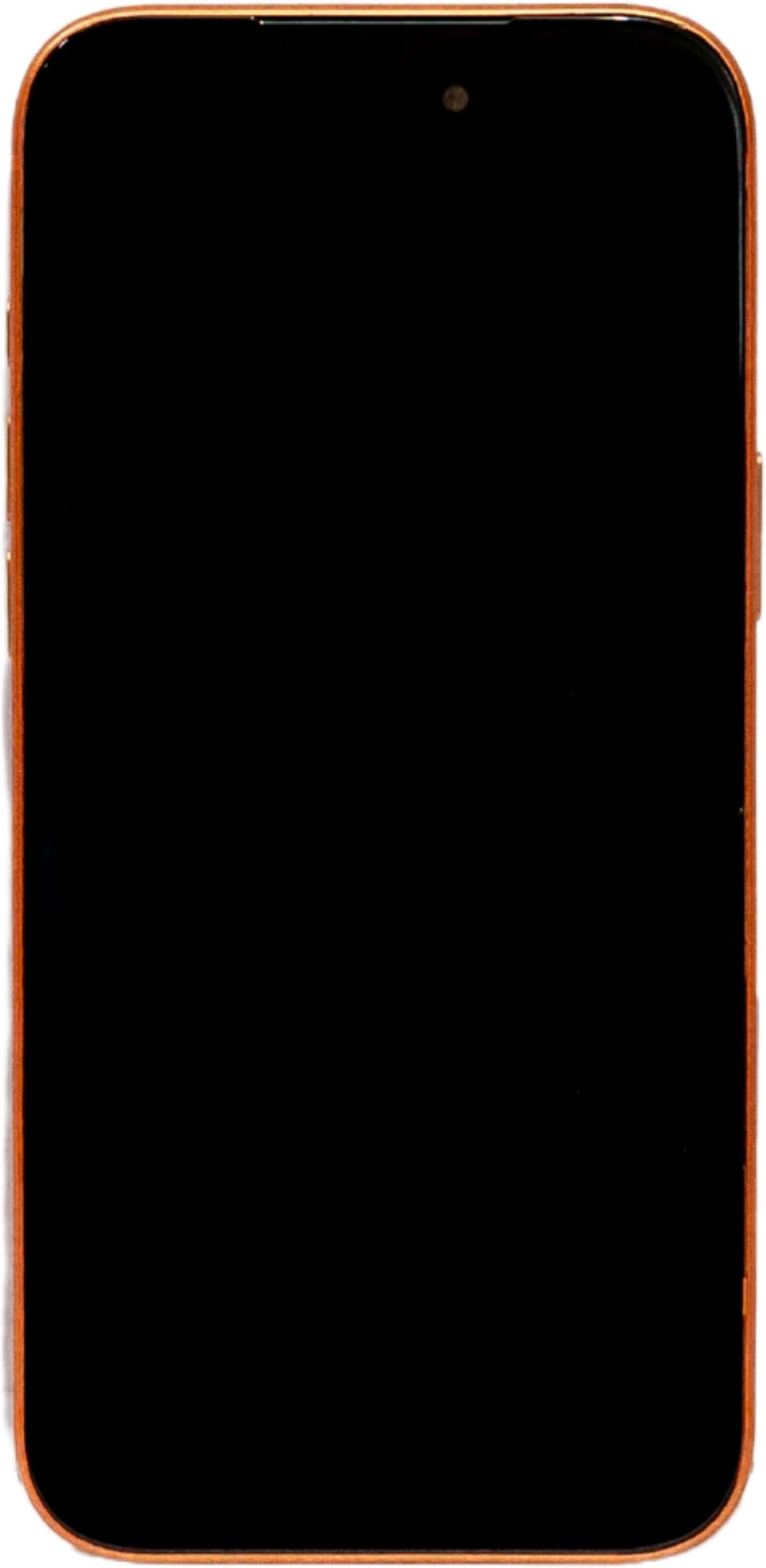 oneme FM-1 (Orange, 16 GB)-picture-19