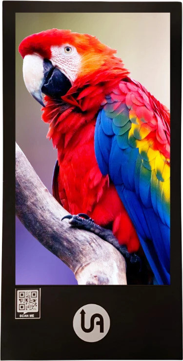 Uprisen Antraajaal 109.22 cm (43 inch) Full HD IPS Panel Monitor (43 Inch Digital Wall mount) image 1