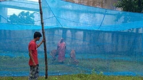 HDPE - High Density Poly Ethylene Adults Washable Mosquito net for pet Animals Tent/Machardani Cow/Buffalo (20x10x10) Mosquito Net-image-34