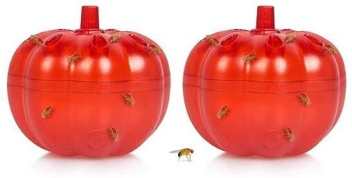 Bharatmart Gnat Trap Catcher Fruit (2 Pcs) Multipurpose Controller