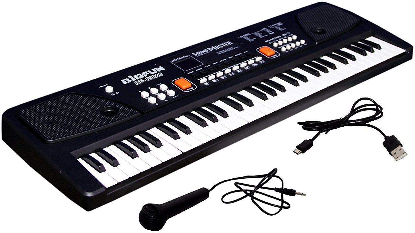 toofun Portable Electronic Keyboard Piano - 61 Keys Piano Keyboard for Beginners LCD Display & Microphone Digital Piano Analog Portable Keyboard-picture-11