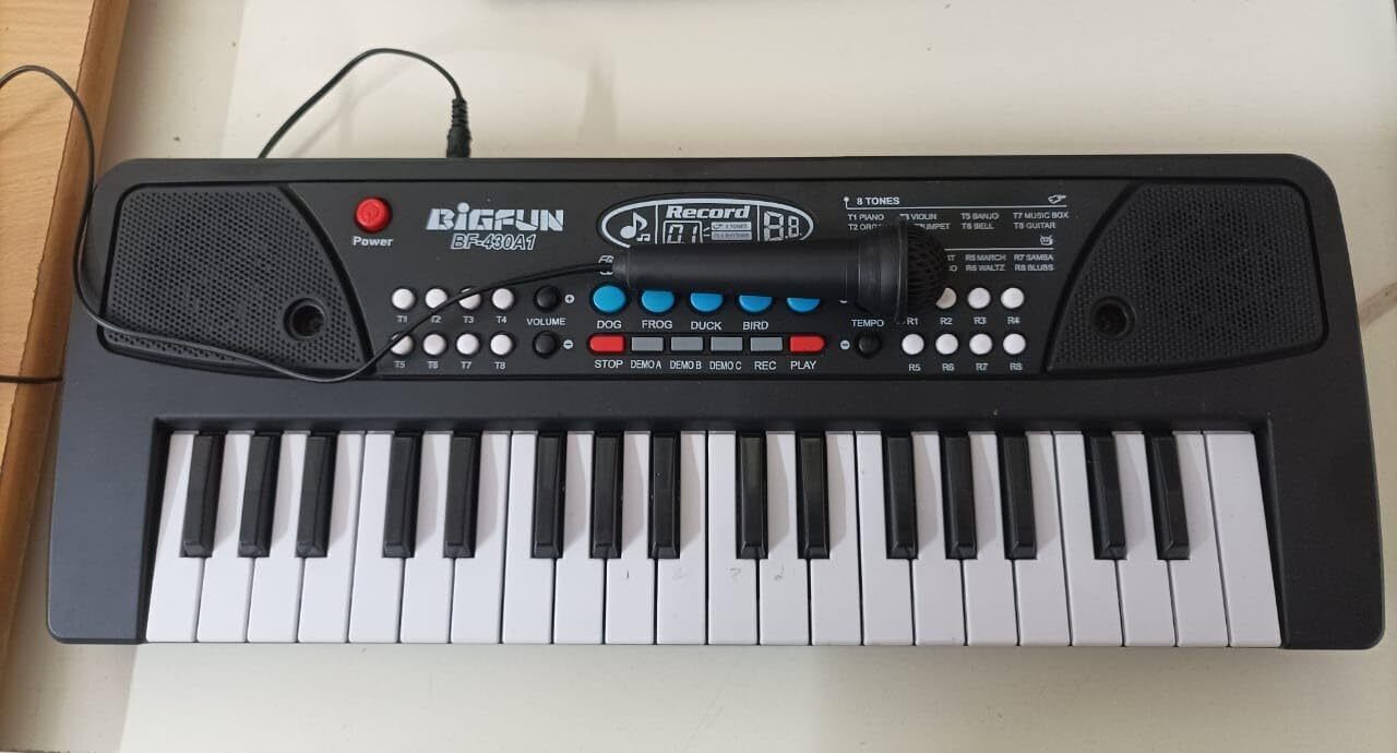 bigfun The 37 Key Piano Keyboard Toy with Recording, Mic and USB Cable for Power-104-picture-11