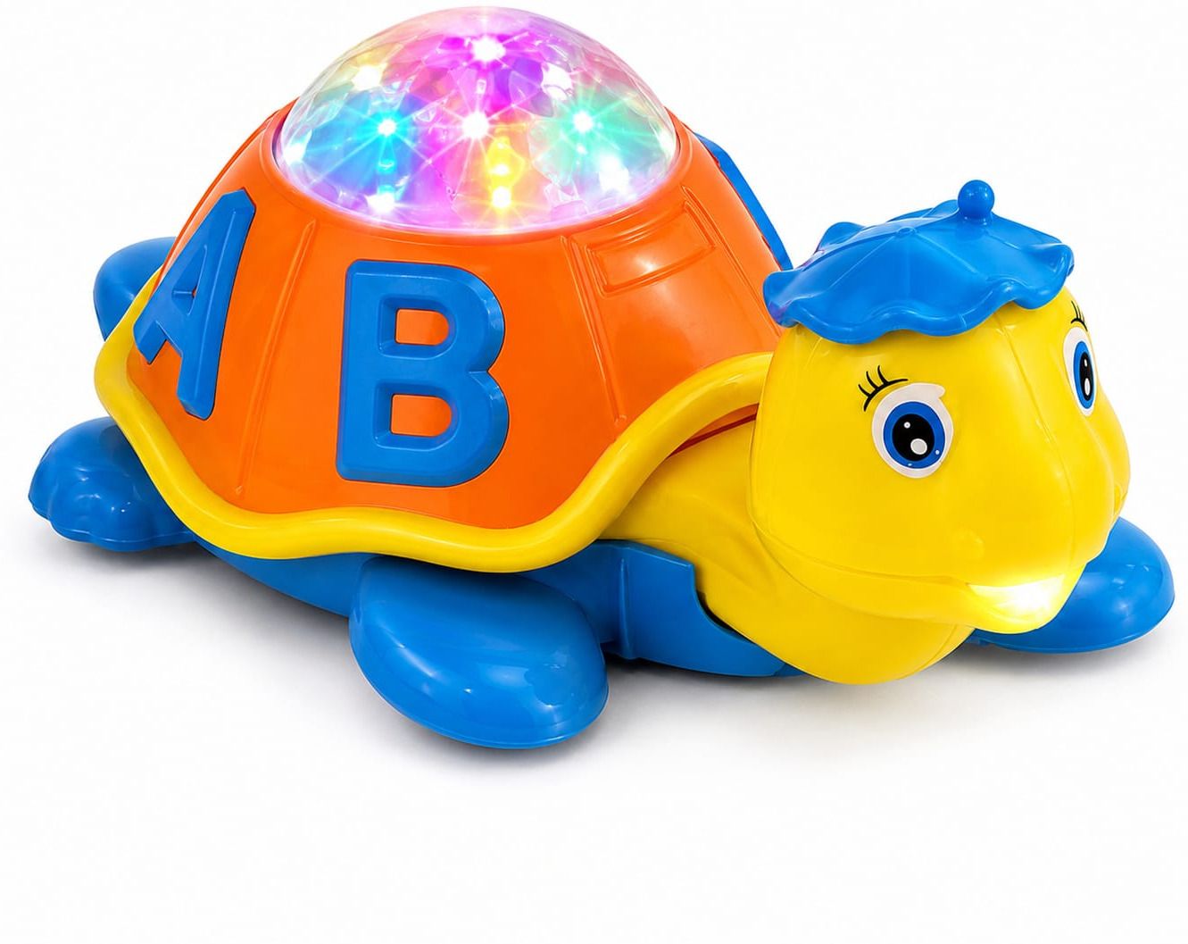 Tortoise 360-image-34