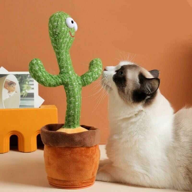 haulsale Dancing Talking Cactus Plush Toy, Wriggle, Singing, Repeat What You Say-756-picture-35