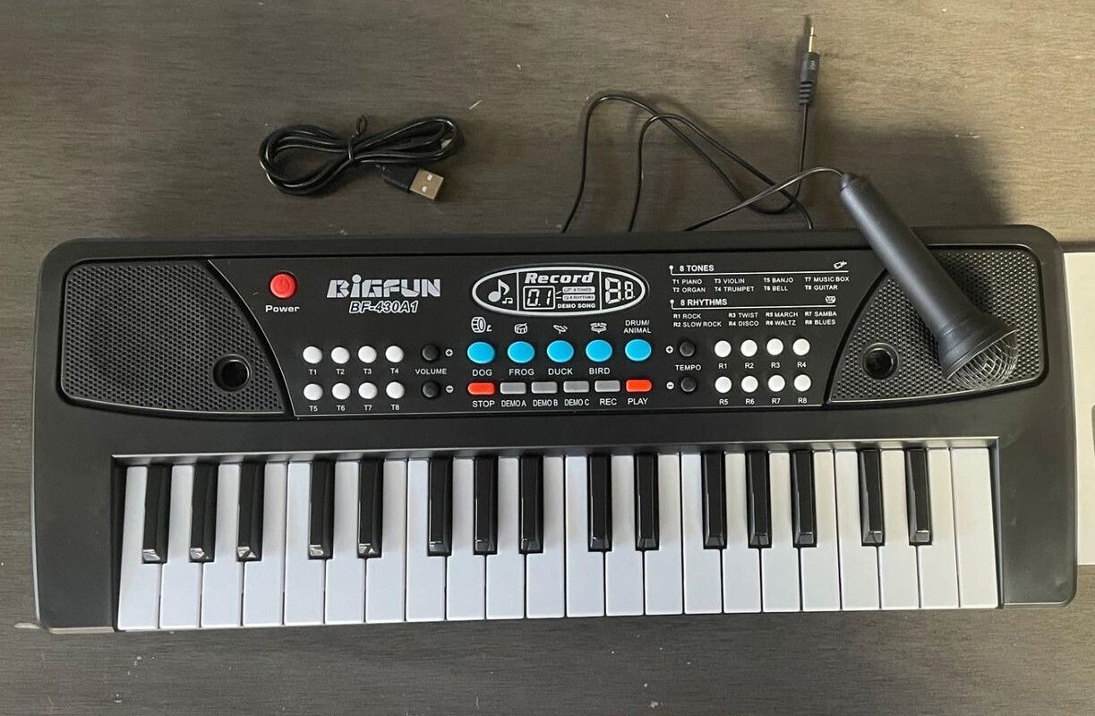 bigfun The 37 Key Piano Keyboard Toy with Recording, Mic and USB Cable for Power-101-picture-21