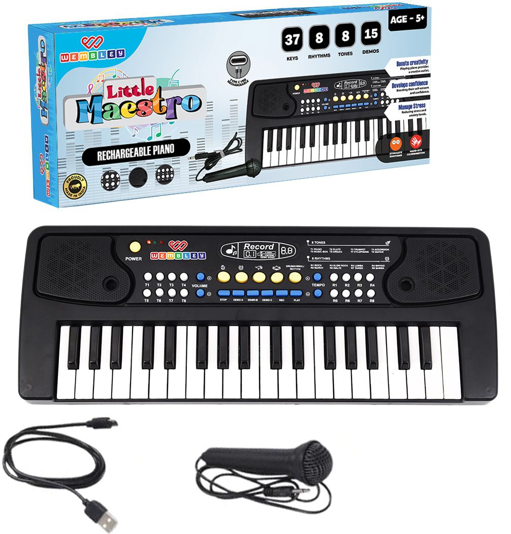 wembley 37-Key Kids Piano with Mic Toy-picture-40