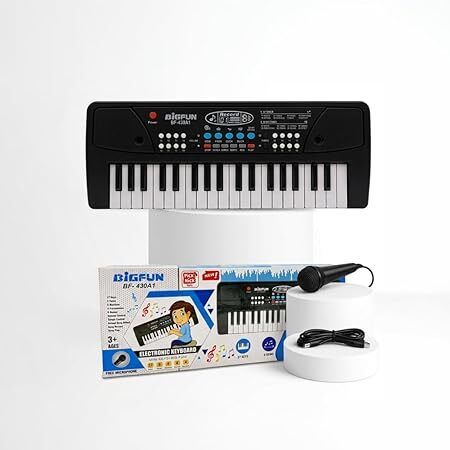 toyboy BigFun-430A1 Electronic Keyboard-picture-37