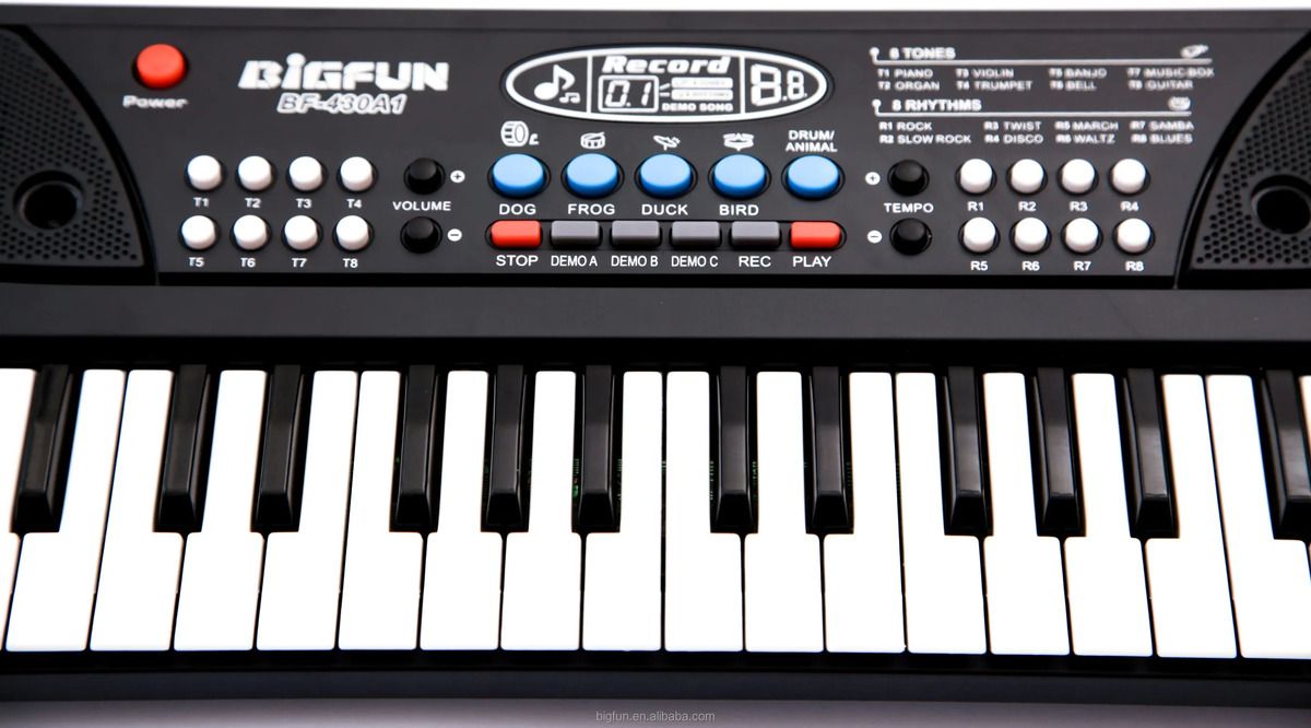 bigfun The 37 Key Piano Keyboard Toy with Recording, Mic and USB Cable for Power-64-picture-22