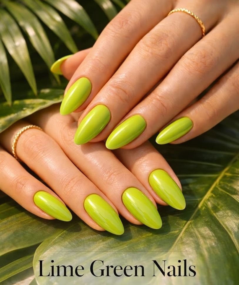 evererin Bottle Green Nail Polish Chip Resistant-picture-23