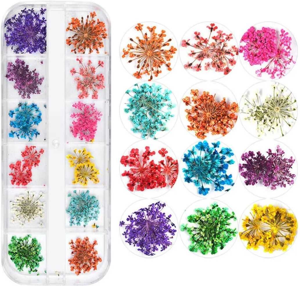 12 Colours Dried Flowers For DIY 3D Nail Art decoration (Multicolour)-image-36