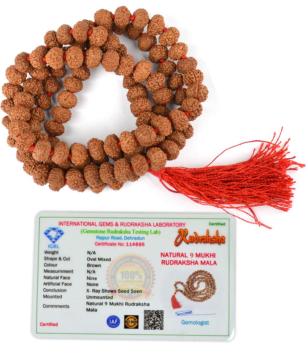 Nine 9 Mukhi Rudraksha Mala 108 Beads Original Jaap Mala Lab Certified Beads Rudraksha Necklace