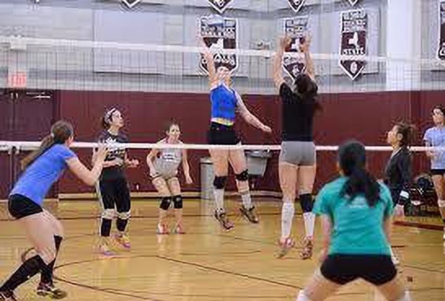 zxxxt Sports Net_559 Volleyball Net-picture-28