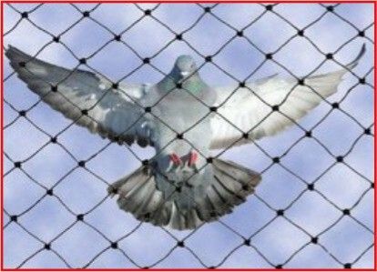 10FT X 10FT Nylon Balcony Net/Bird Net/Monkey Net/Child Protection Net Camping Net