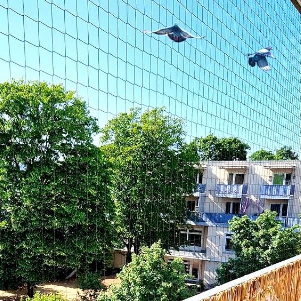Pigeon Net 10x10 Ft Nylon Bird Safety Balcony Net White Durable Camping Net-image-0