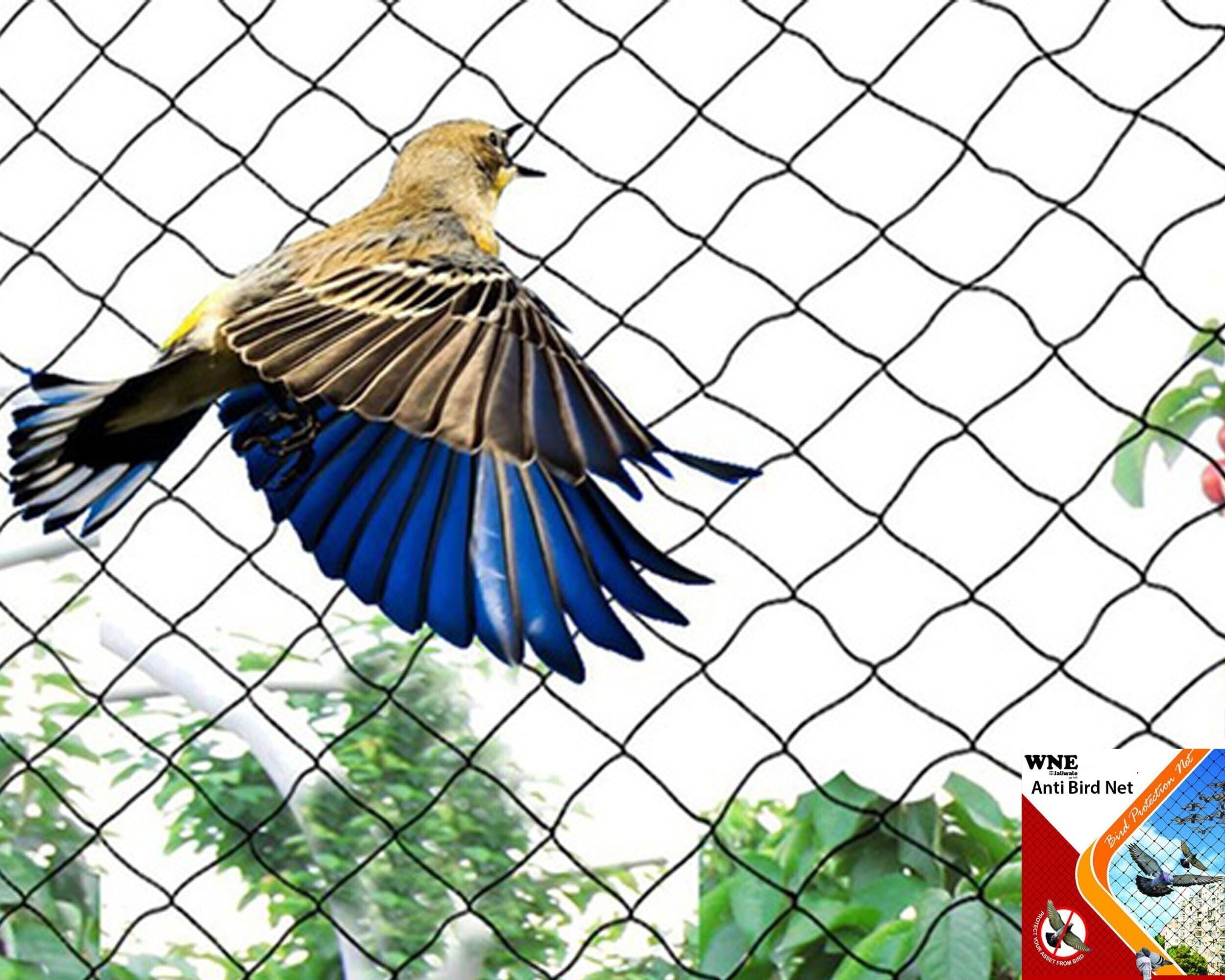 e c creation Pigeon Net Anti Bird Net for balcony Pigeon Net for balcony10ft X 6ft(60 sq.ft) Camping Net-picture-29