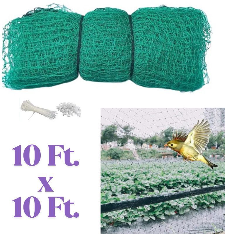 Green Bird Safety Net 10Ft X 10 Ft UV Stabilized Nylon Pigeon Net MonkeyNet Camping Net-image-13