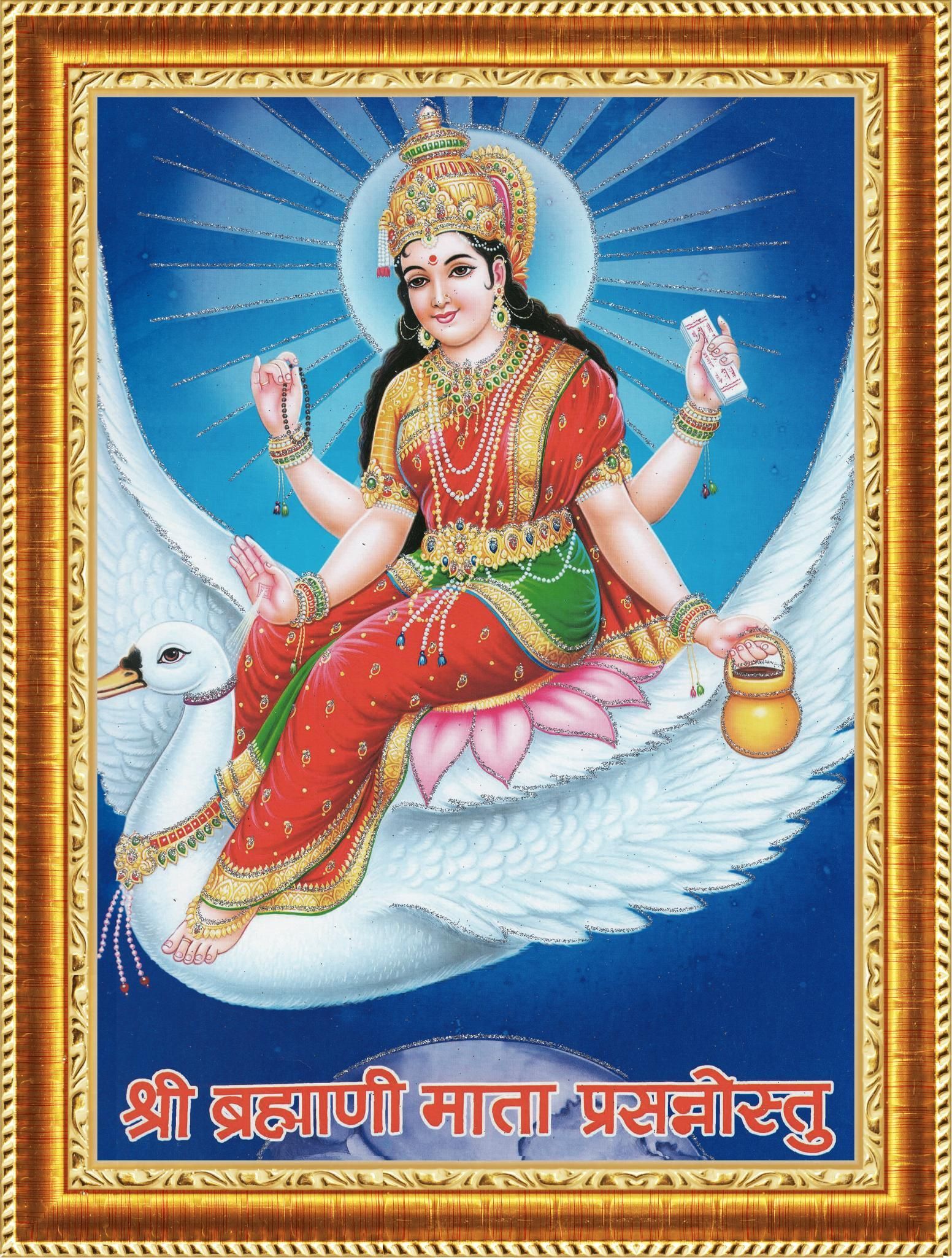 Brahmani Mata 221 inch Digital-image-13