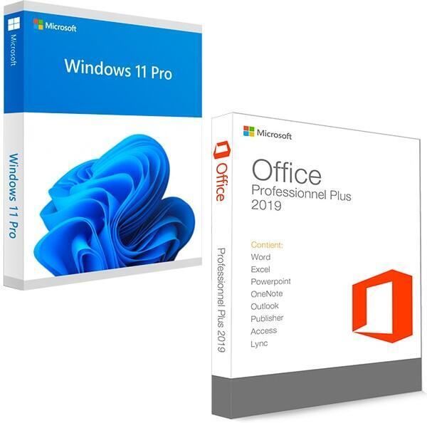 MICROSOFT Office Professional Plus 2019 & Windows 11 Pro (1 User/PC, Lifetime Validity)-image-34