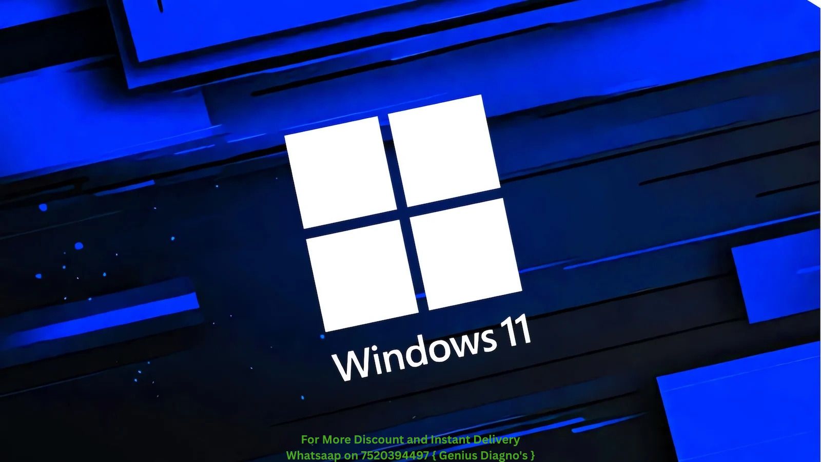 Genius Diagnostic Windows 11 Professional Professional 64-image-34