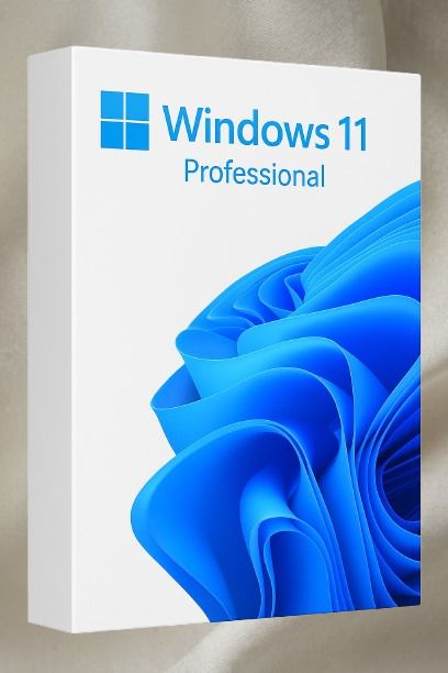 MICROSOFT Windows 11 Professional_AB05 1 User / 1 PC Lifetime Validity Retail License 32 /64 Bit (Flash Drive)-picture-26