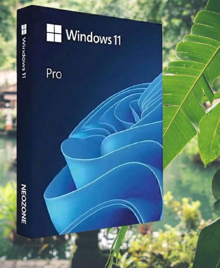Orova Windows 11 Pro 64-Bit Genuine License Key_030 Pro 64-bit-picture-29