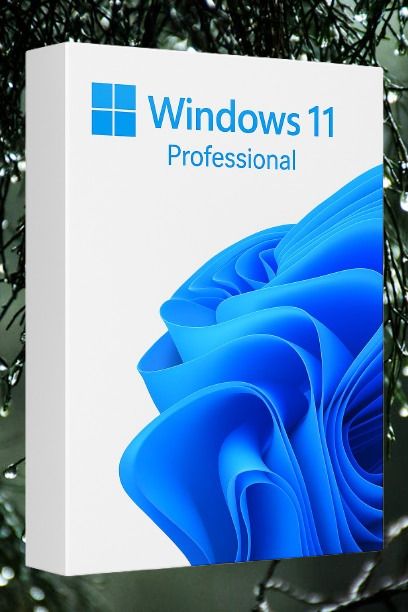 MICROSOFT Windows 11 Professional_AB03 1 User / 1 PC Lifetime Validity Retail License 32 /64 Bit (Flash Drive)-image-42