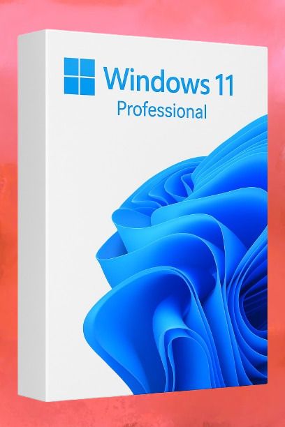 MICROSOFT Windows 11 Professional_AB02 1 User / 1 PC Lifetime Validity Retail License 32 /64 Bit (Flash Drive)-picture-12