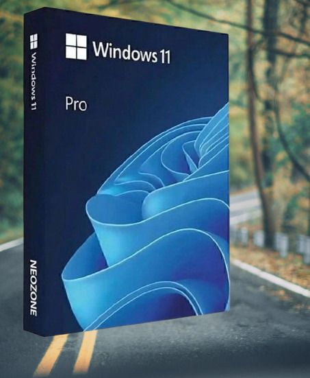 Orova Windows 11 Pro 64-Bit Genuine License Key_09 Pro 64-bit-picture-26