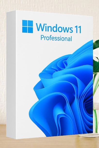 MICROSOFT Windows 11 Professional_AB010 1 User / 1 PC Lifetime Validity Retail License 32 /64 Bit (Flash Drive)-picture-27