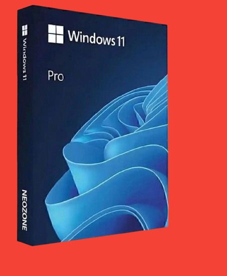 Orova Windows 11 Pro 64-Bit Genuine License Key_01 Pro 64-bit-picture-10