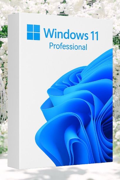 MICROSOFT Windows 11 Professional_AB029 1 User / 1 PC Lifetime Validity Retail License 32 /64 Bit (Flash Drive)-image-36
